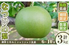 ＜8月下旬～10月下旬発送予定＞＜数量限定＞こばやし農園なつひめ梨(計3kg・6～10玉)【sm-CK002】【こばやし農園】