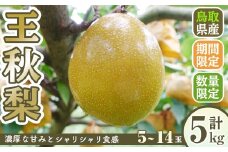 ＜11月上旬～12月下旬発送予定＞＜数量限定＞こばやし農園王秋梨(計5kg・5～14玉)【sm-CK003】【こばやし農園】
