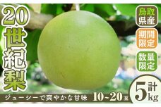 ＜9月上旬～11月中旬発送予定＞＜数量限定＞こばやし農園20世紀梨(計5kg・10～20玉)【sm-CK001】【こばやし農園】