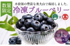 ＜数量限定＞冷凍ブルーベリー(500g×2P・計1kg) 【T-BI4】【大山ブランド会】