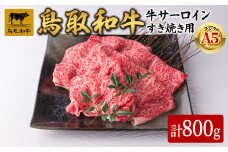 A5鳥取県産黒毛和牛サーロイン すき焼き用(計800g)【sm-DH002-B】【カタセイ】