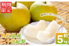 ＜数量限定＞＜2025年8月下旬以降順次発送予定＞鳥取県産二十世紀梨(約5kg) 【sm-BZ007】【岡田商店】