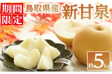 ＜数量限定＞＜2025年8月下旬以降順次発送予定＞鳥取県産新甘泉(約5kg) 【sm-BZ005】【岡田商店】