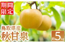 ＜数量限定＞＜2025年9月上旬以降順次発送予定＞鳥取県産 秋甘泉(約5kg) 【sm-BZ003】【岡田商店】