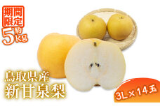 鳥取県産 新甘泉梨(約5kg・3L×14玉)【sm-BP008-A】【フジキコーポレーション】