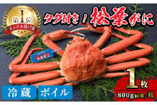 ＜土日祝着※指定日不可＞＜1月初旬～2月下旬発送予定＞＜期間限定・数量限定＞境港水揚げ 松葉ガニ(1枚)【sm-BP001-B】【フジキコーポレーション】