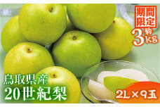 ＜8月下旬～9月下旬発送予定＞＜2Lサイズ×9玉＞鳥取県産 20世紀梨(約3kg)【sm-BP006】【フジキコーポレーション】