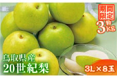 ＜8月下旬～9月下旬発送予定＞＜3Lサイズ×8玉＞鳥取県産 20世紀梨(約3kg)【sm-BP007】【フジキコーポレーション】