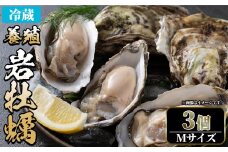 ＜平日着※指定日不可＞＜3月中旬～4月下旬発送予定＞岩牡蠣(養殖)Mサイズ(3個)【sm-DD006-A】【Workplays】