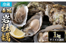 ＜土日祝着※指定日不可＞＜3月中旬～4月下旬発送予定＞岩牡蠣(養殖)サイズ不選別(1kg)【sm-DD001-B】【Workplays】