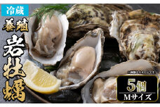 ＜土日祝着※指定日不可＞＜3月中旬～4月下旬発送予定＞岩牡蠣(養殖)Mサイズ(5個)【sm-DD007-B】【Workplays】