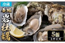 ＜土日祝着※指定日不可＞＜3月中旬～4月下旬発送予定＞岩牡蠣(養殖)Lサイズ(5個)【sm-DD009-B】【Workplays】