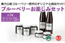 ブルーベリーお楽しみセット(計3種)【T-BI3】【大山ブランド会】