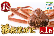 ＜11月中旬～2月下旬配送予定＞＜訳あり・足欠け＞鳥取県産活松葉がに(大1枚)【sm-AM009】【モリイ食品】
