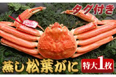 ＜11月中旬～2月下旬配送予定＞＜タグ付き＞鳥取県産蒸し松葉がに(特大1枚)【sm-AM014】【モリイ食品】