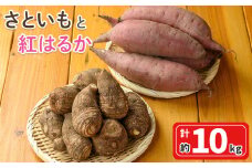 ＜先行予約受付中！10月上旬～2月下旬発送予定＞さといもと紅はるかのセット(約10kg)【sm-DI003】【大原茂美】