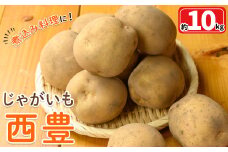 ＜先行予約受付中！12月中旬～2月中旬発送予定＞じゃがいも 西豊(約10kg)【sm-DI002】【大原茂美】