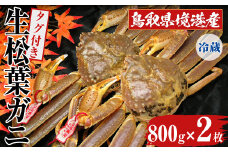 ＜11月中旬～3月中旬発送予定＞＜土日祝着※指定日不可＞鳥取県境港産 タグ付き生松葉がに(800g×2枚)【sm-BN006-B】【三光水産】