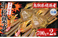 ＜11月中旬～3月中旬発送予定＞＜土日祝着※指定日不可＞鳥取県境港産 タグ付き生松葉がに(700g×2枚)【sm-BN005-B】【三光水産】