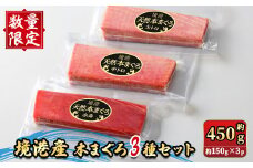 ＜数量限定＞境港産本まぐろ3種セット(計約450g)【sm-DM001】【Doiカンパニー】