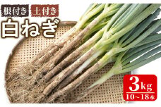 ＜数量限定＞白ねぎ(3kg)【sm-CQ001】【マツモトファーム】