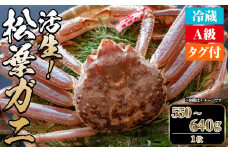 ＜平日着※指定日不可＞＜期間限定＞＜11月中旬～3月中旬発送予定＞松葉ガニ 活生(550〜640g・1枚)【sm-DD044-A】【Workplays】