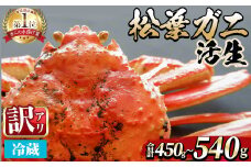 ＜土日祝着※指定日不可＞＜期間限定・訳あり＞＜11月中旬～3月中旬発送予定＞松葉ガニ 活生(約450～540g/1枚)【sm-DD047-B】【Workplays】