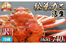 ＜平日着※指定日不可＞＜期間限定・訳あり＞＜11月中旬～3月中旬発送予定＞松葉ガニ 活生(約650～740g/1枚)【sm-DD049-A】【Workplays】