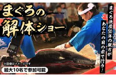 ＜数量限定＞まぐろ専門店「まぐろ屋DOI」の解体ショー(最大10名で参加可能)【sm-DM006】【Doiカンパニー】