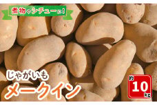 ＜7月中旬～9月中旬発送予定＞じゃがいも メークイン(約10kg)【sm-DI001】【大原茂美】