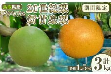 ＜8月上旬～9月下旬発送予定＞＜数量限定＞こばやし農園プレミアム20世紀梨・新甘泉梨セット(計3kg・各種1.5kg)【sm-CK013】【こばやし農園】