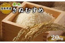＜2025年10月中旬～2026年8月下旬発送予定＞＜数量限定＞令和7年産新米鳥取県産きぬむすめ(20kg)【sm-DD066】【Workplays】