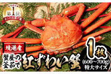 ＜土日祝着※指定日不可＞蟹屋の釜茹で紅ずわい蟹(特大・1枚)【sm-AL021-B】【マルツ】