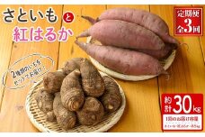 ＜定期便・全3回＞＜先行予約受付中！2025年10月上旬～2026年2月下旬発送予定＞さといもと紅はるかのセット(約10kg×3回・計約30kg) 【sm-DI005】【大原茂美】