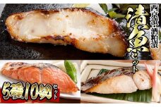 漬魚セット(西京漬5種10切セット)【sm-BO007】【門永水産】