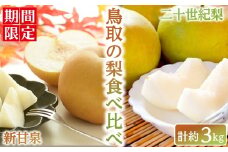 ＜数量限定＞＜2025年8月下旬以降順次発送予定＞鳥取の梨食べ比べ(新甘泉/二十世紀梨・計約3kg)【sm-BZ009】【岡田商店】