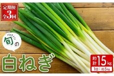 ＜定期便・全3回＞＜先行予約受付中！2025年11月上旬～2026年3月下旬発送予定＞白ねぎ(約5kg×3回・計15kg) 【sm-DI006】【大原茂美】