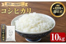 ＜令和7年産新米・先行予約受付中！2025年10月中旬以降順次発送予定＞＜数量限定＞特別栽培米！兎米-UMAI- コシヒカリ(10kg) 【sm-EC001】【優栽】