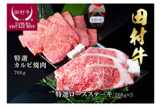 田村牛特選ロースステーキ＆特選カルビ焼肉セット｜牛肉 黒毛和牛 赤身 ステーキ 焼き肉 鳥取 岩美 但馬牛【11001】