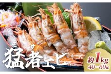 【23001】幻のえび モサエビ 1kg｜鳥取 岩美 海老 エビ えび 幻のえび 【先行予約】