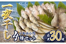 いわみ小包（海）＜海産物一夜干し＞｜鳥取 岩美 干物 ひもの 詰合せ【24001】