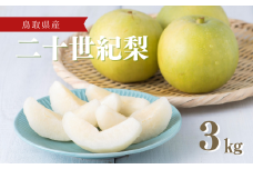 【先行予約】二十世紀梨（3kg）｜鳥取 梨 ナシ 果物 フルーツ【41002】