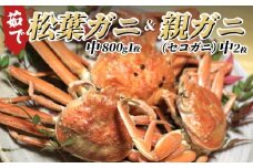【22008-1】松葉がに＆親がにセット（ボイル）｜鳥取 岩美町 松葉ガニ ずわいがに
