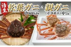 【22008-2】松葉がに＆親がにセット（生）