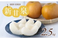【先行予約】【41003】新甘泉（梨）