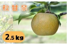 【41004】秋甘泉（梨）