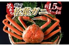 【22010-1】訳あり松葉がに（ボイル） 鳥取 岩美 日本海 松葉ガニ かに ずわいがに ズワイガニ