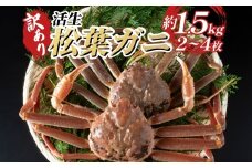 【22010-2】訳あり松葉がに（生） 鳥取 岩美 日本海 松葉ガニ かに ズワイガニ