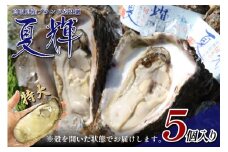 【21004】夏輝（岩ガキ）