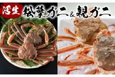 【22013】【先行予約】鳥取県網代産 訳あり松葉がに 親がに 夫婦セット（生） 鳥取 岩美 松葉ガニ ずわいがに せこがに 日本海